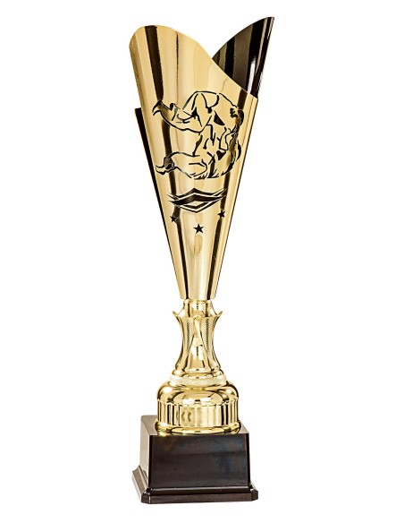 Coupe Judo Métal  attribut Hauteur (cm):44
