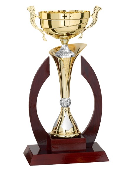 Coupe Prestige Bois et Métal  