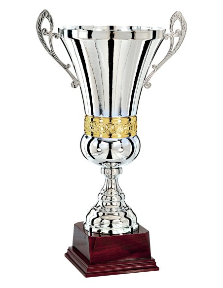 Coupe Prestige Métal  
